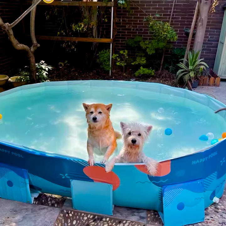 Foldable Dog Pool