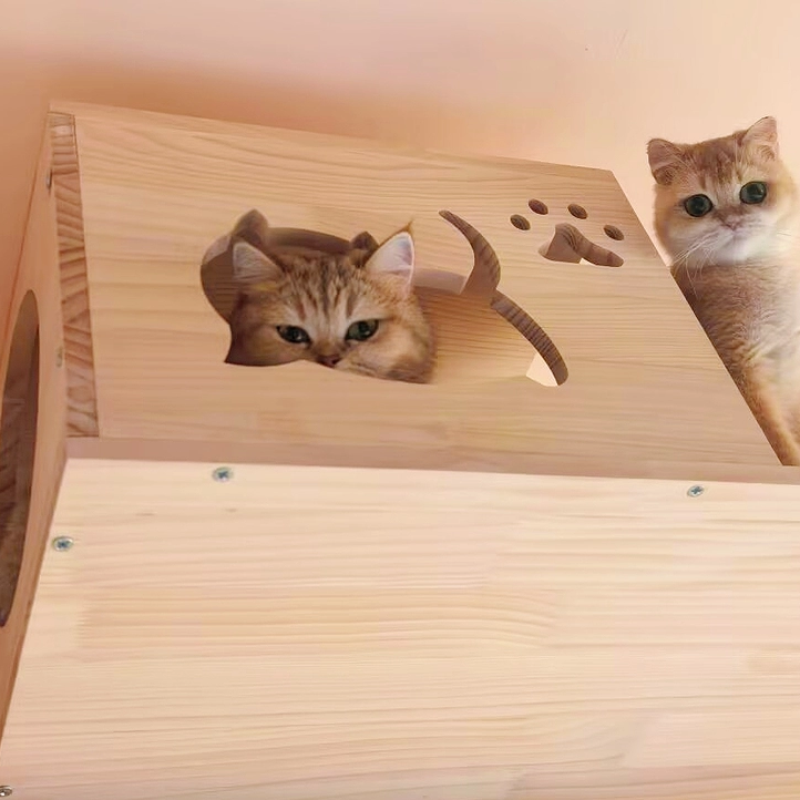 DIY Wall-Mounted Cat Adventure Board
