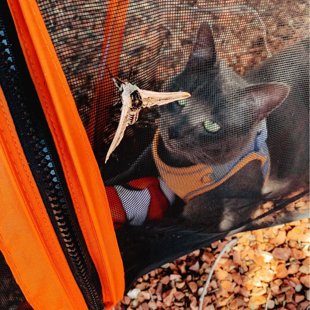 Collapsible Modular Pet Playpen