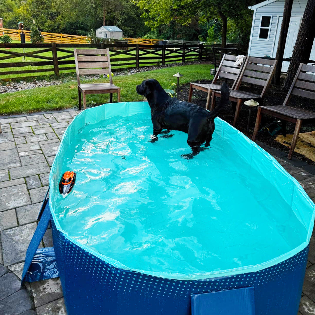 Foldable Dog Pool