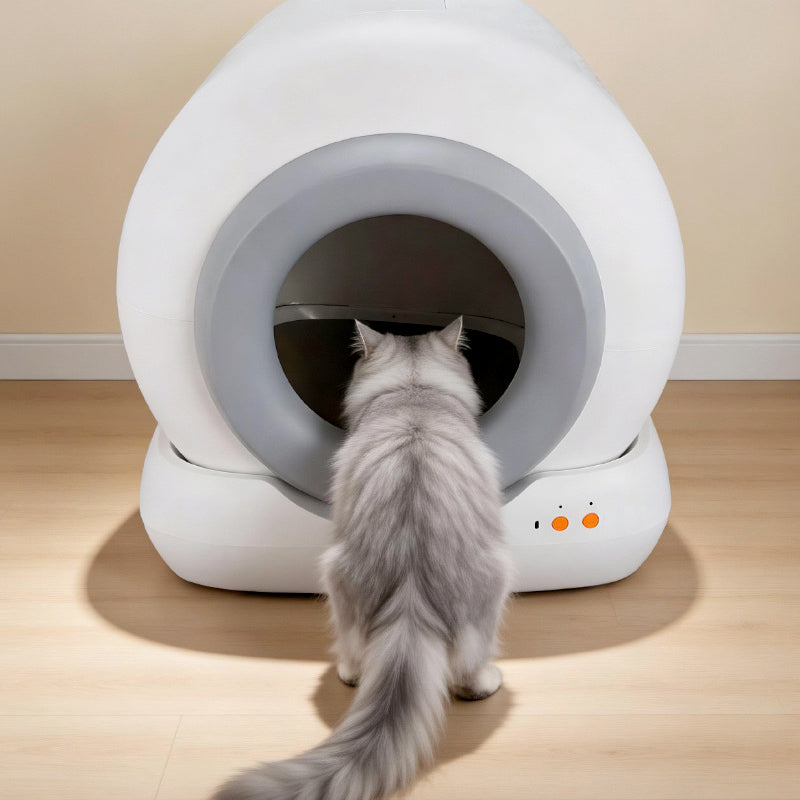 EasyClean Cat Litter Box