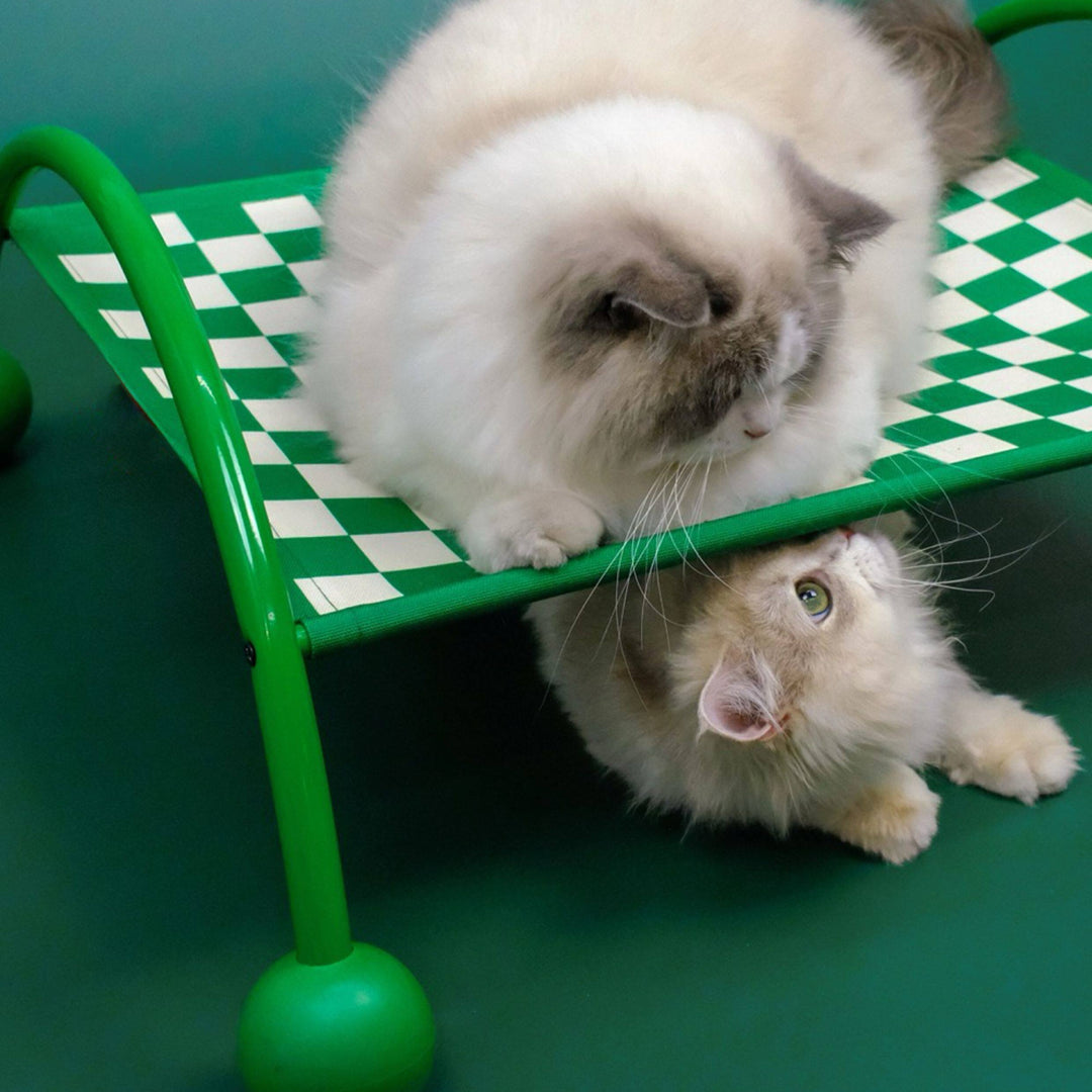 2-in-1 Pet Sofa Hammock