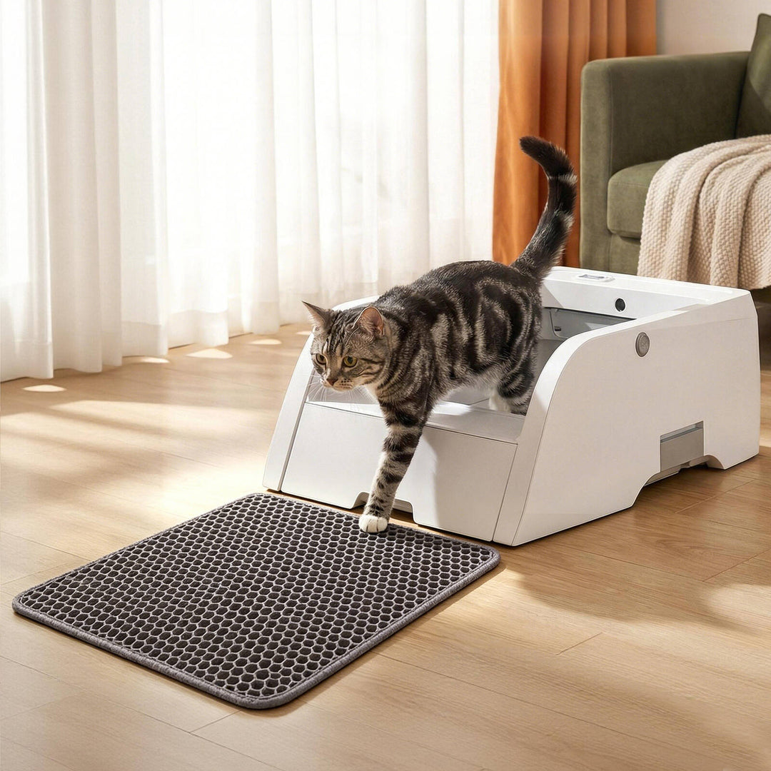 Automatic Open-Top Litter Box