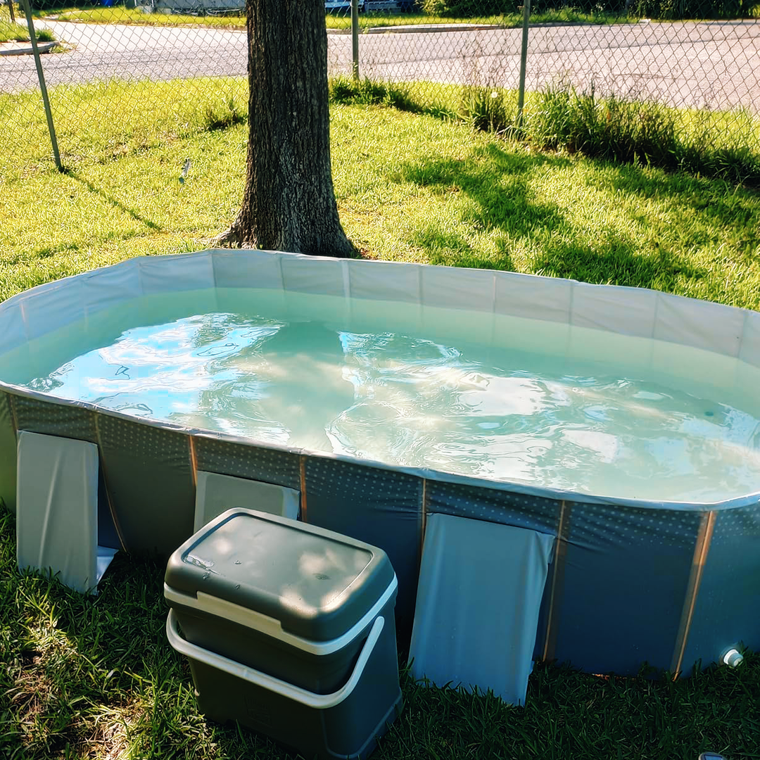 Foldable Dog Pool