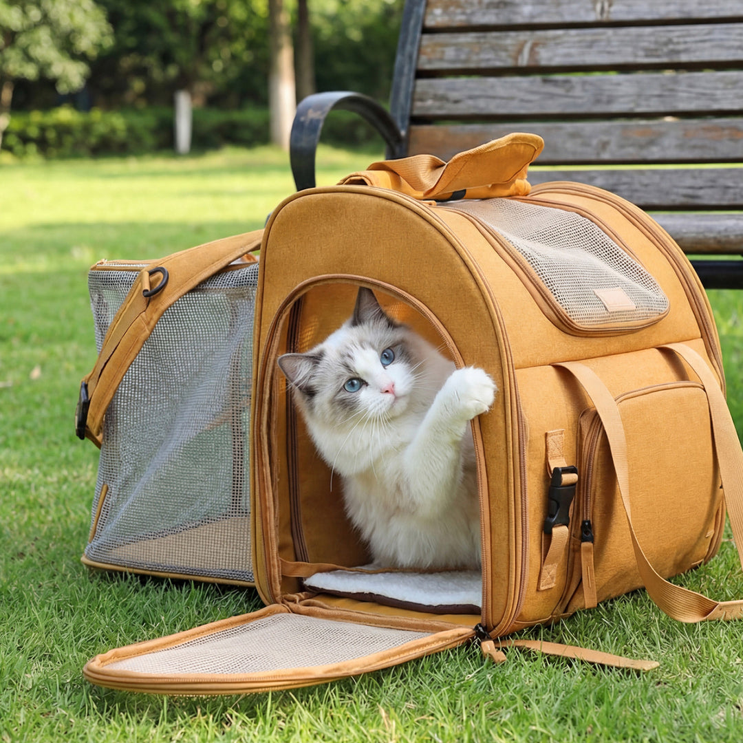 Travel-Ready Expandable Pet Backpack