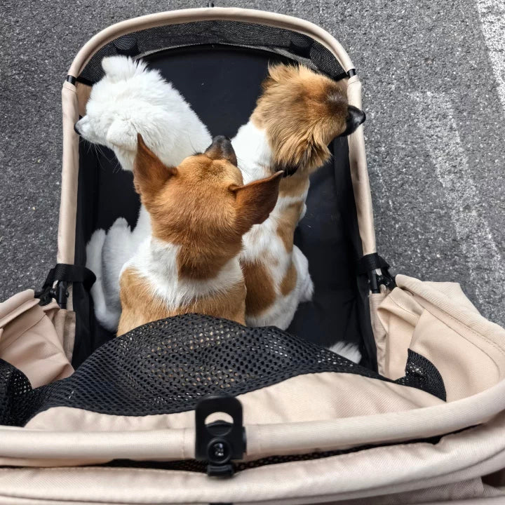 Large Foldable Pet Stroller with Ramp