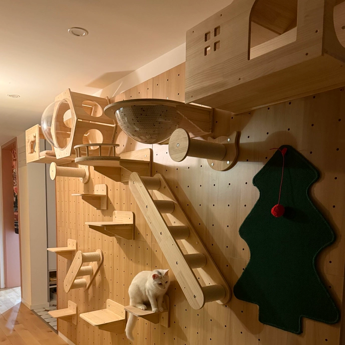 DIY Wall-Mounted Cat Adventure Board