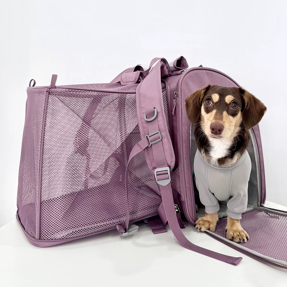 Travel-Ready Expandable Pet Backpack