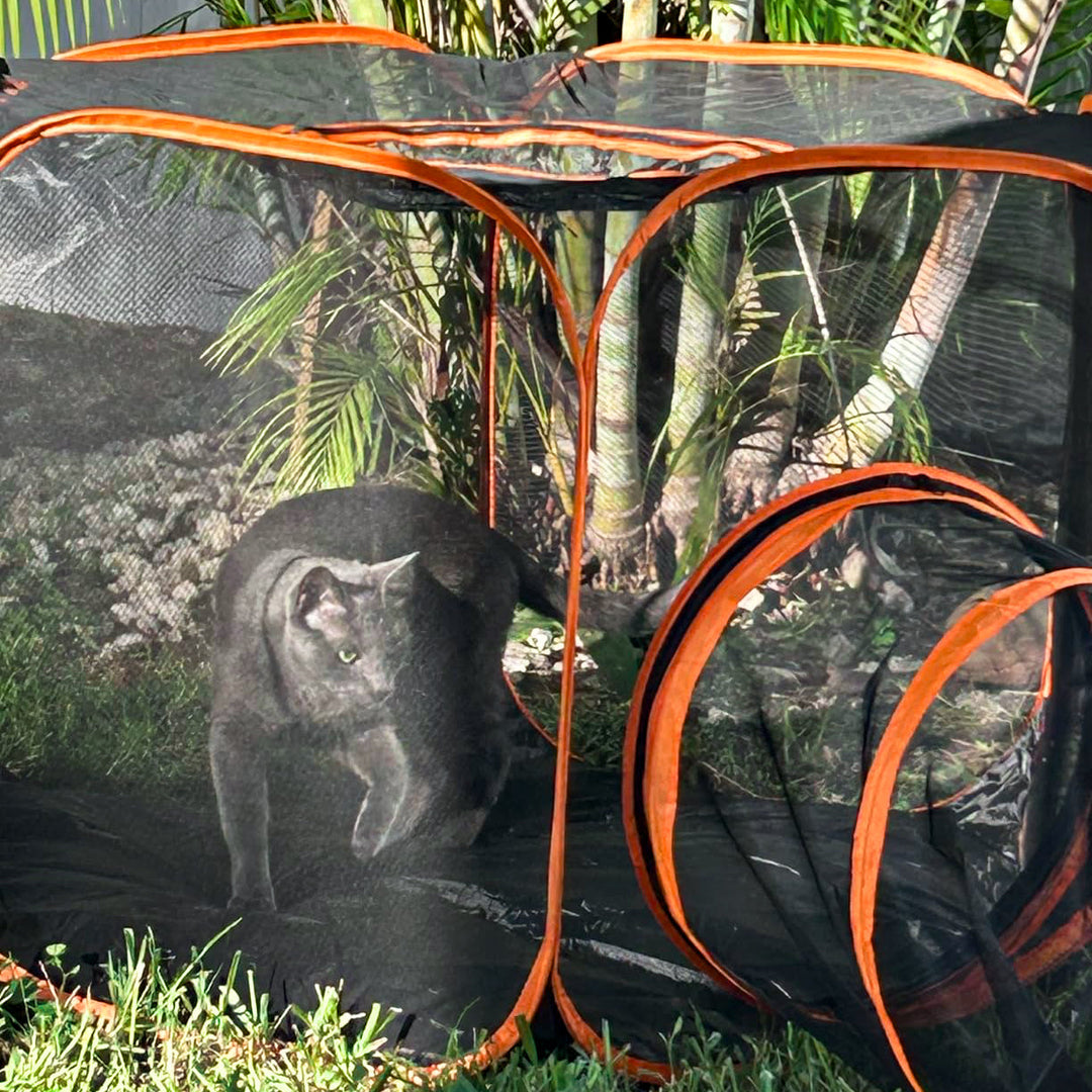 Collapsible Modular Pet Playpen