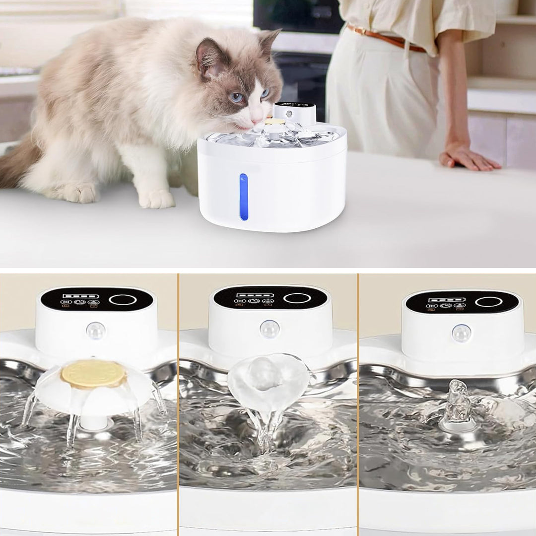Sensor-Activated Pet Fountain
