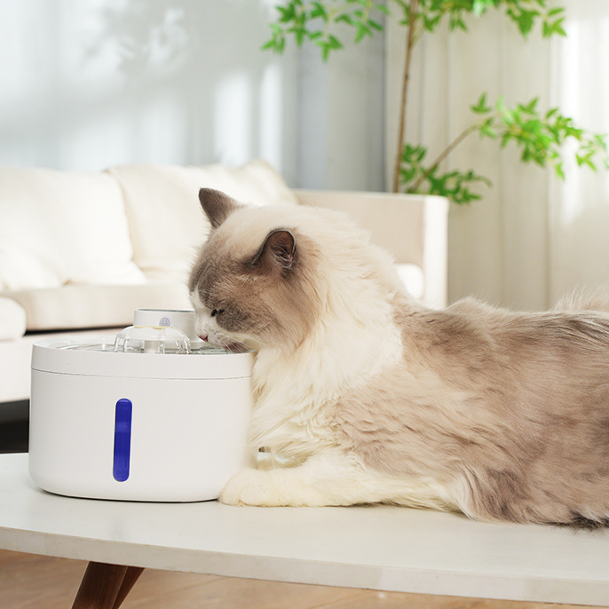 Sensor-Activated Pet Fountain