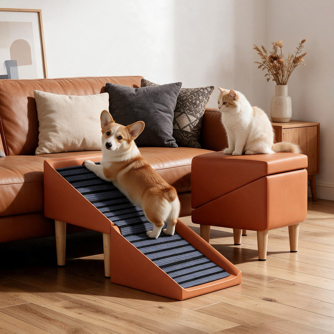 Foldable Slant Ramp Stool Ottoman