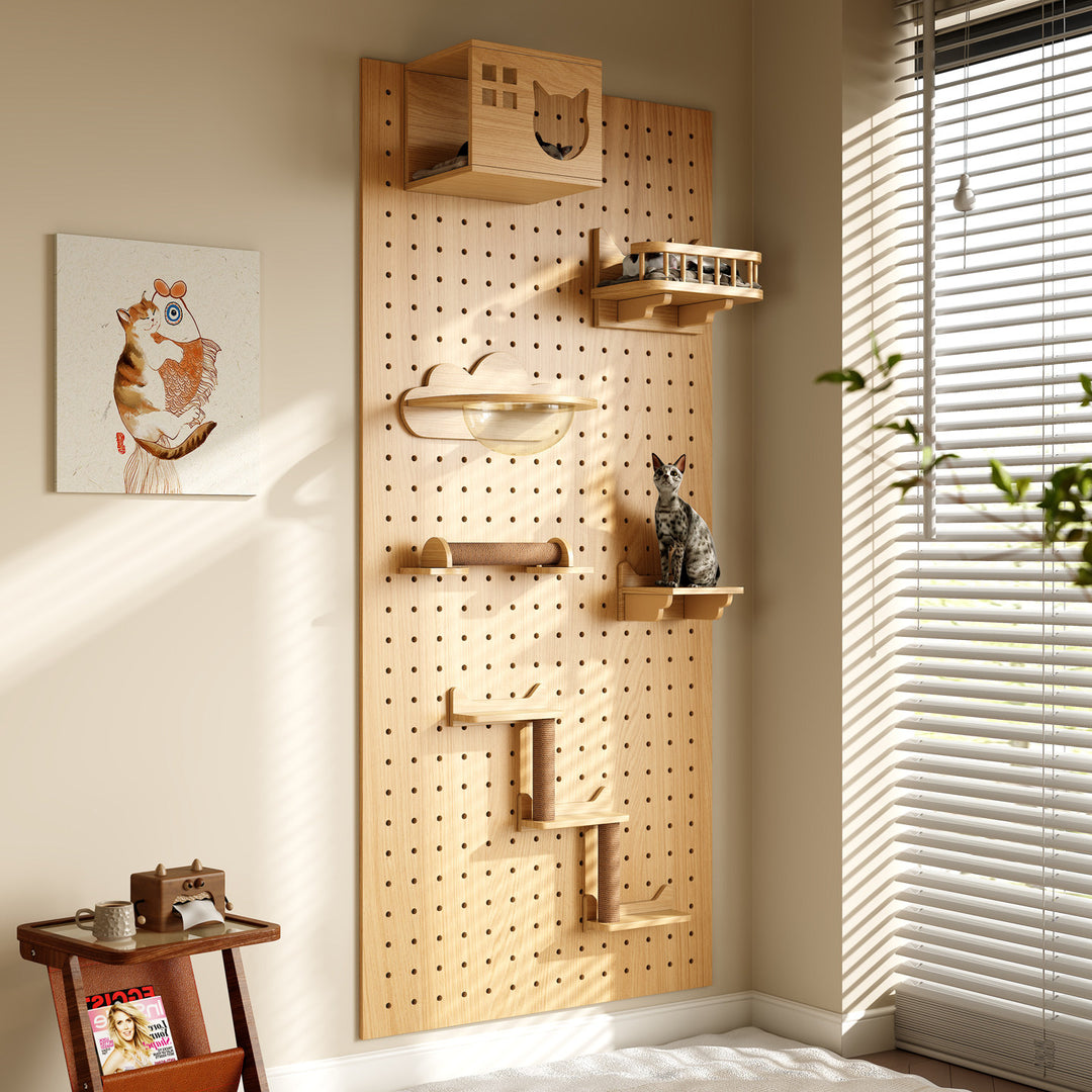 DIY Wall-Mount Cat Adventure Set