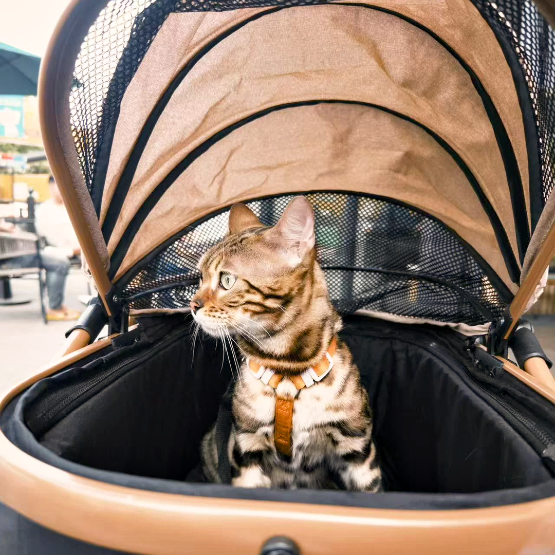 2-in-1 Foldable Pet Stroller