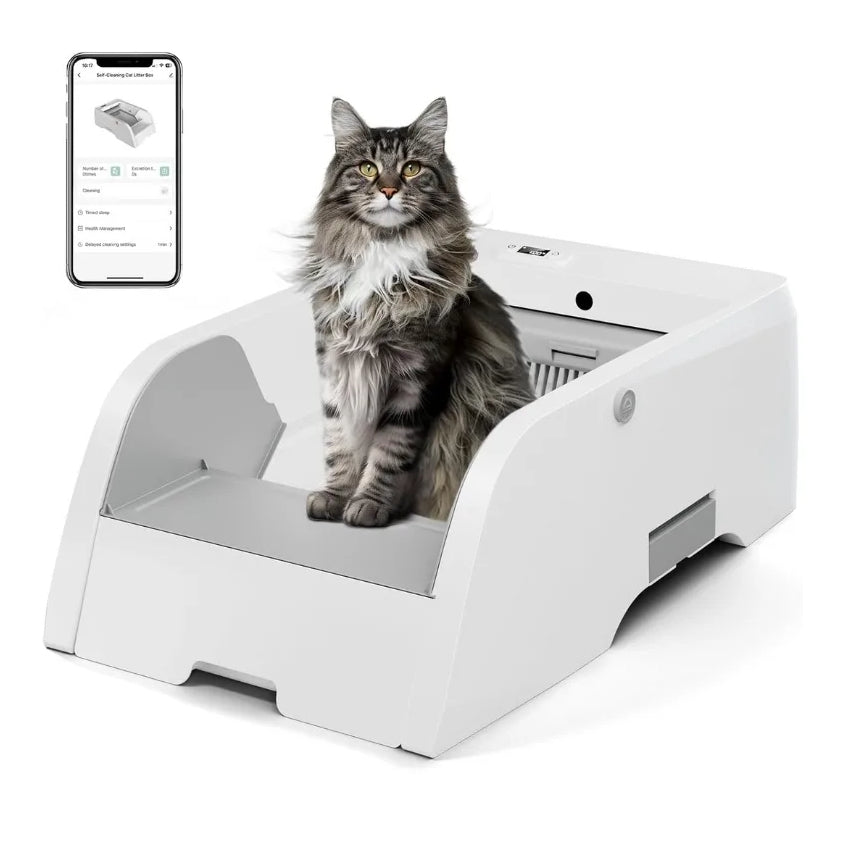 Automatic Open-Top Litter Box