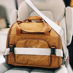 Travel-Ready Expandable Pet Backpack