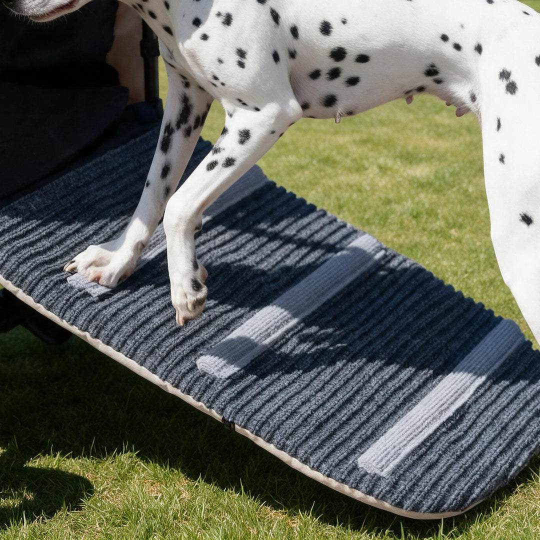 Large Foldable Pet Stroller with Ramp
