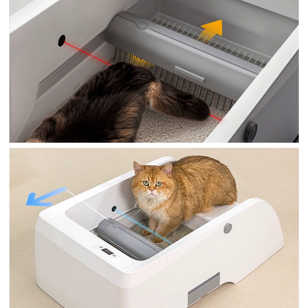 Automatic Open-Top Litter Box
