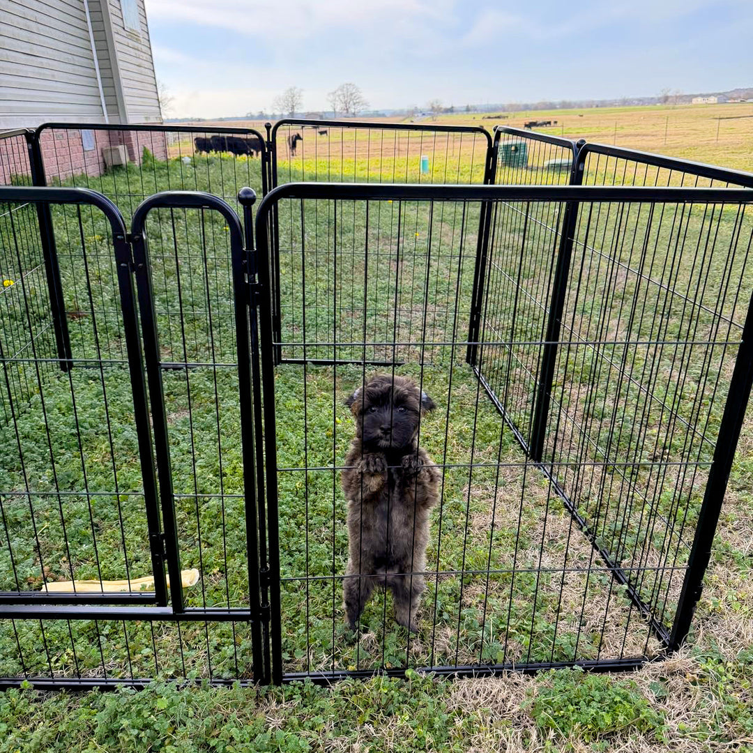 Extendable Modular Pet Playpen (8-Pcs Set)