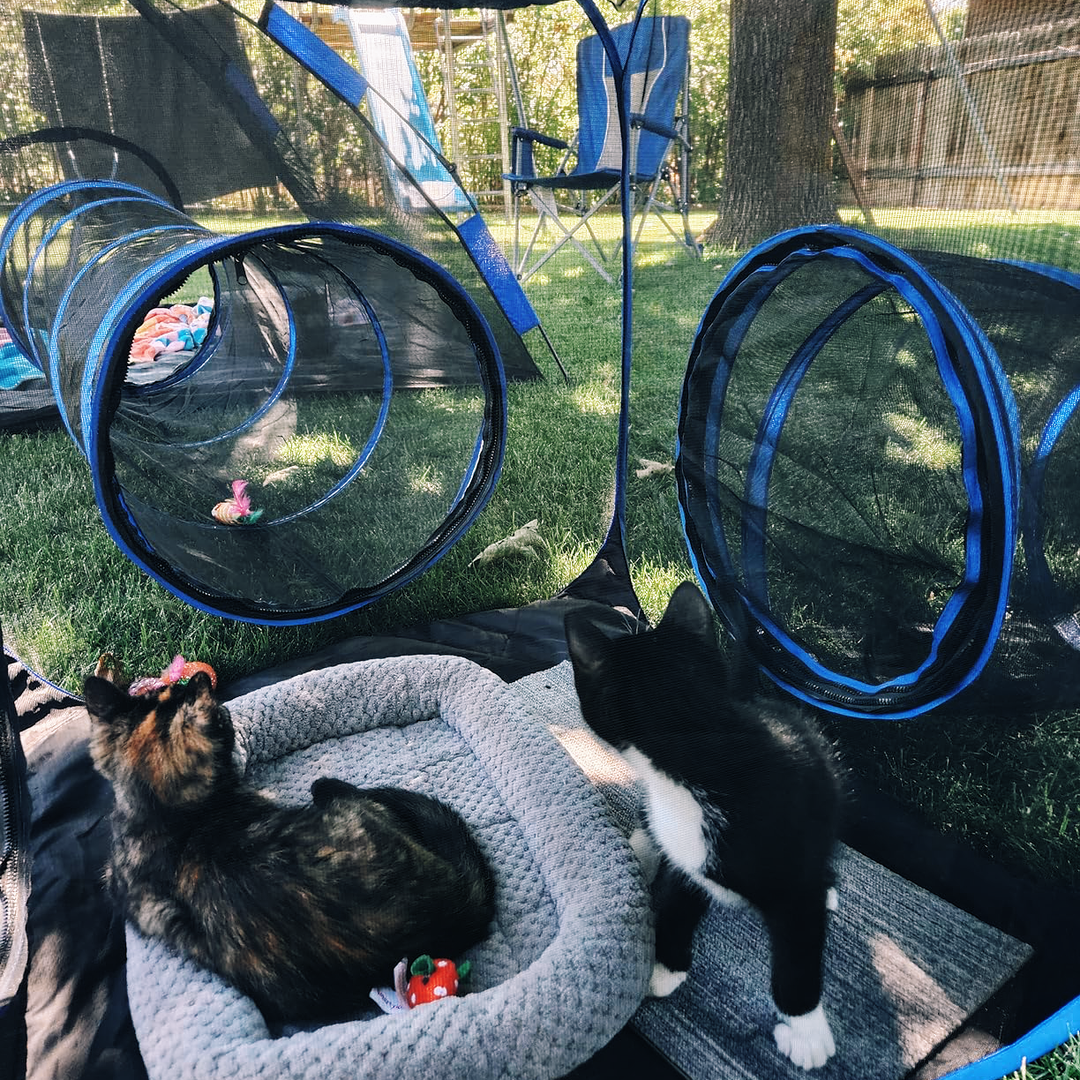Collapsible Modular Pet Playpen